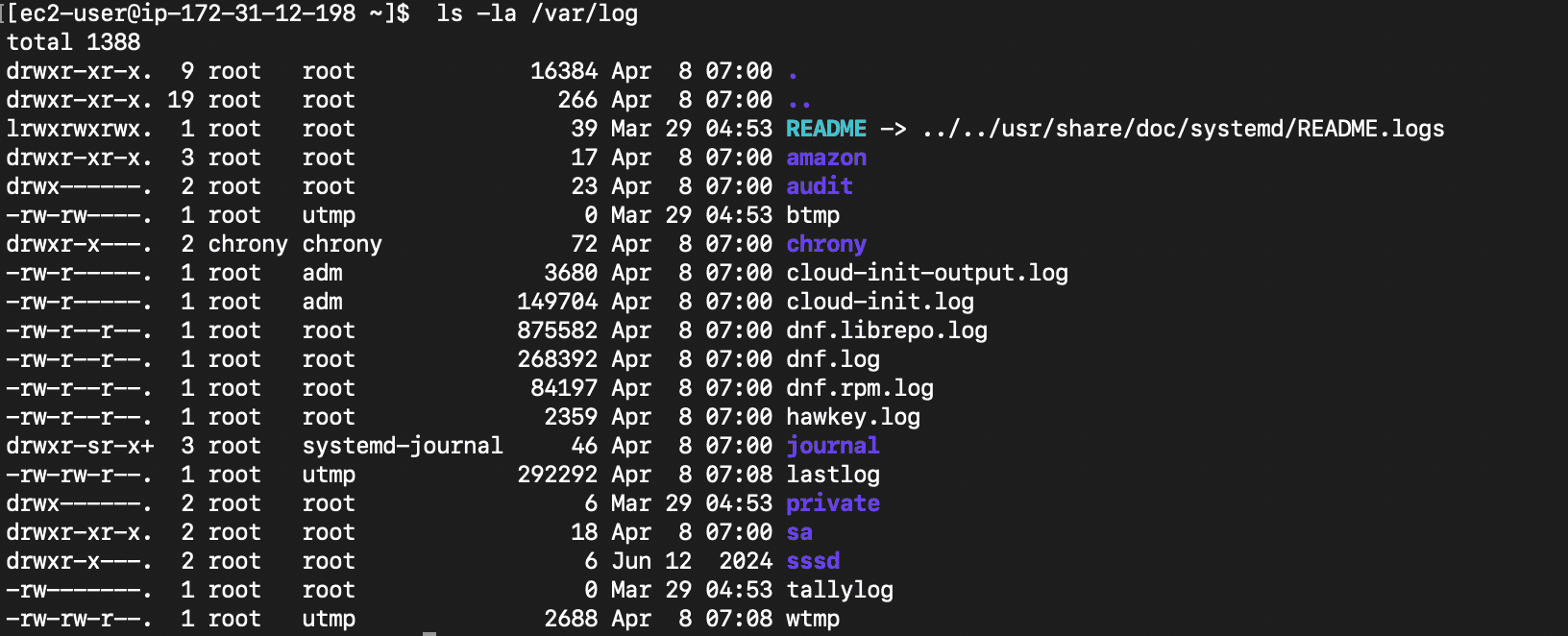 Screenshot 2025-04-08 at 12.40.52 PM.png