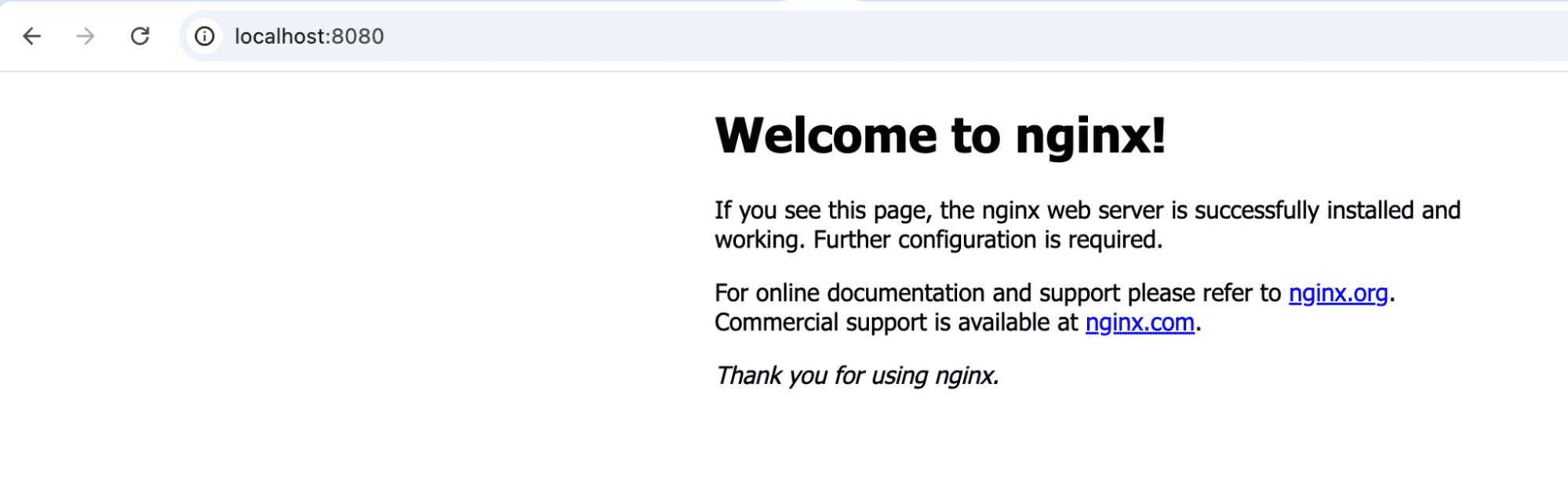 nginx home