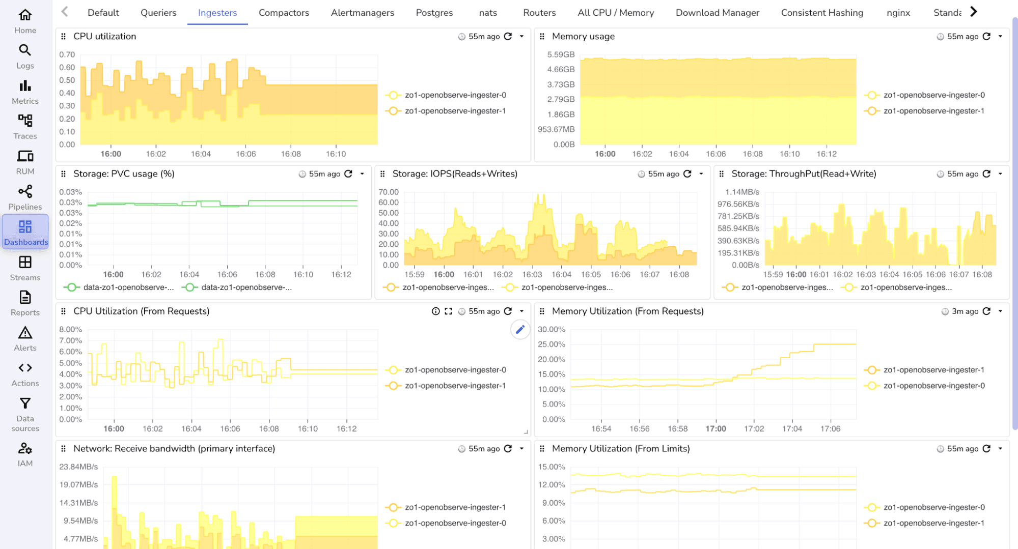 Infrastructure Metrics dashboard showing CPU utilization, memory  and performance.
