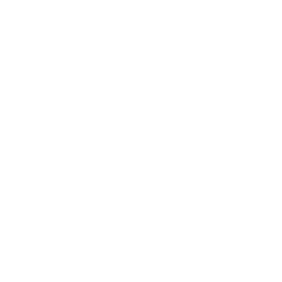Amazon Bedrock AgentCore