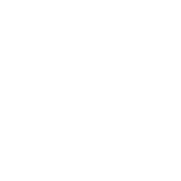 Amazon Bedrock Agents