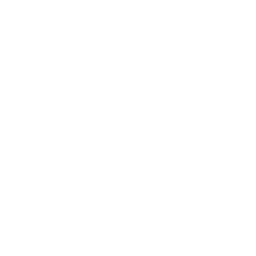 OpenAI Codex