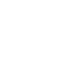 LiteLLM