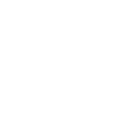 LlamaIndex