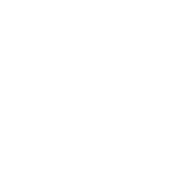 MCP Server