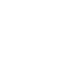Opencode