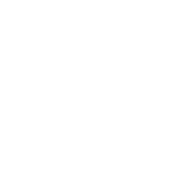 OpenVPN