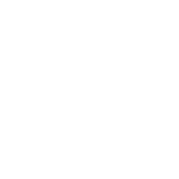 vLLM