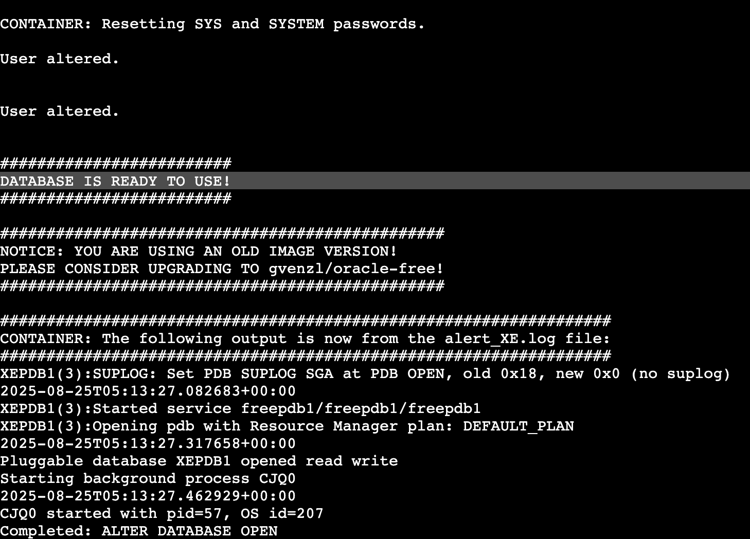 Oracle Database container logs with 'DATABASE IS READY TO USE!' confirming successful startup in a Docker environment